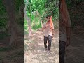 #shortvideo #odia #song #trending #viralvideo