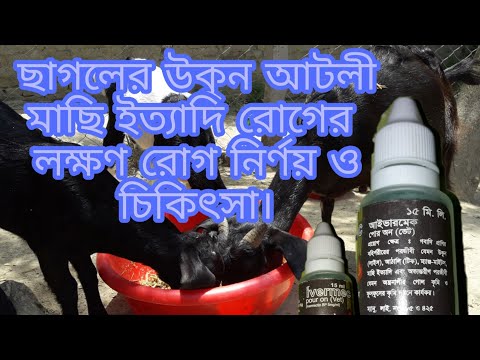 ভিডিও: সরীসৃপগুলিতে বাহ্যিক পরজীবী