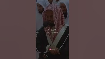 القارئ/ #ابو_بكر_الشاطري                               #quran   #قرآن