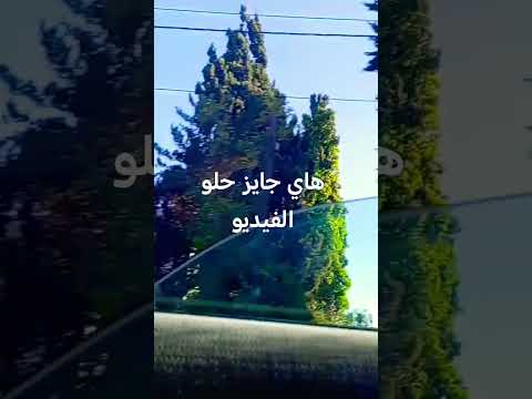 هاي جايز بليز حطولي لايك