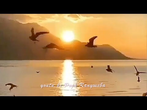 💖Руслан Катчиев и Роберт  Катчиев Анам Атам сл. Рустам Тамбиев Обработка аранжировка Роберт Катчиев