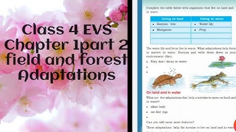 class 4 EVS /chapter1/part 2/term1 Kerala syllabus field and forest