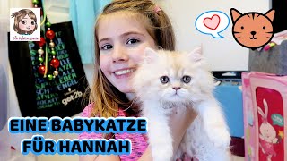 EINE KATZE FÜR HANNAH  Ihr größter Wunsch geht in Erfüllung  Unser neues Familienmitglied