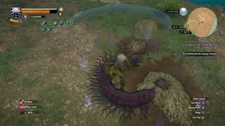The Witcher 3: Giant Centipede Fight