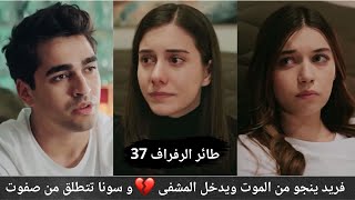 فريد ينجو من الموت وخوف سيران عليه 💔 وسونا تتطلق من صفوت 😲 الحلقة 37 لمسلسل طائر الرفراف 💞