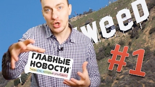 ГН#1 Свободу порно. Бабка тусер. Стриптиз на похоронах и другие новости... ГН#1 Свободу порно. Бабка тусер. Стриптиз на похоронах и другие новости...