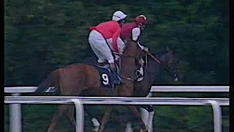 1992 Norfolk Stakes Niche Inc Replay