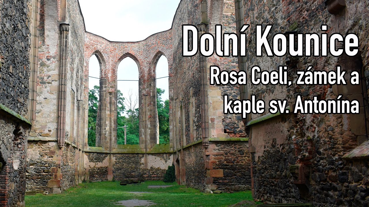Rosa Coeli - Dolní Kounice 2022