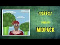 Free lil yachty x juice wrld x trippie redd type beat  forest  rap instrumental