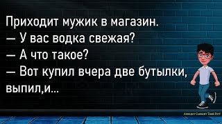 💎Сын Делится Впечатлениями От ...Большой Сборник Смешных Анекдотов,Для Супер Настроения!