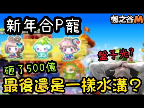 【楓之谷M】新年準備500億再次挑戰P寵!是否會頭破血流？