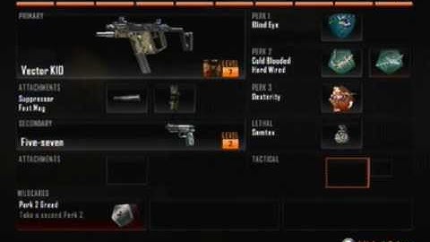 Black Ops 2 Best Vector Class