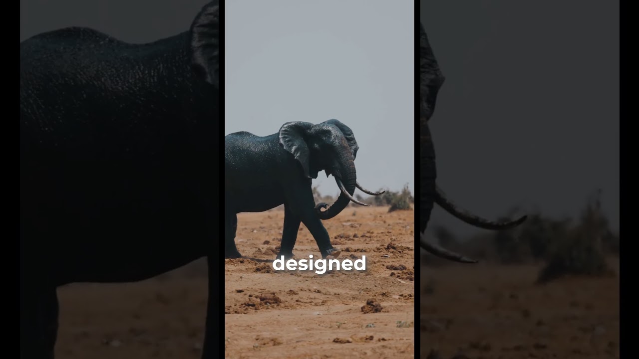 Why Can't Elephants Jump? #science #shorts