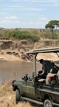 Migration Safaris Serengeti National Park Tanzania July-August 2021