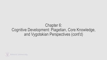 Developmental Psychology - Lecture 13 (PSYC 240)