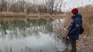 Обзор эхолота для любительской рыбалки Erchang XA02: изучаем водоем на экране своего смартфона