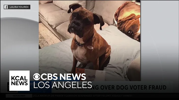 Orange County woman who registered dog to vote says she did so to "expose flaws" in voter system