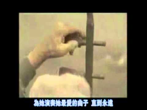 感人廣告:感人廣告系列-《丘爺爺》中文字幕 禁播vs 禁撥