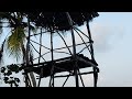 200 years of old Banian tree - beach - waves - boat - beautiful nature - sand - island
