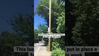 Green Replacement Pole to Replace about 14-year-old Utility Pole on Country Way, Scituate MA