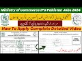 Unleash your potential ministry of commerce ip organization pakistan jobs 2024  apply now