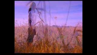 SHIMAUTA - ALFREDO CASERO