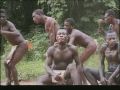 The Polyphonic Singing of the Aka Pygmies of Central Africa