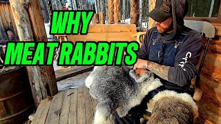 Why Meat Rabbits Belong on Every Off-Grid Homestead | Food, Fur & Full Respect