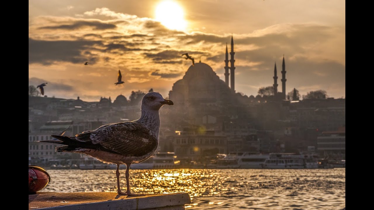 Fajr Azan adhan In Istanbul Turkey Sounds Of Daybreak YouTube fajr-azan-adhan-in-istanbul-turkey-sounds-of-daybreak-youtube