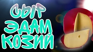 видео: сыр ЭДАМ из КОЗЬЕГО МОЛОКА. нюансы работы с козьим молоком, как сделать правильный шар картинка: сыр ЭДАМ из КОЗЬЕГО МОЛОКА. нюансы работы с козьим молоком, как сделать правильный шар