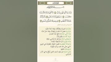 سورة المسد مكررة الشيخ هزاع البلوشي