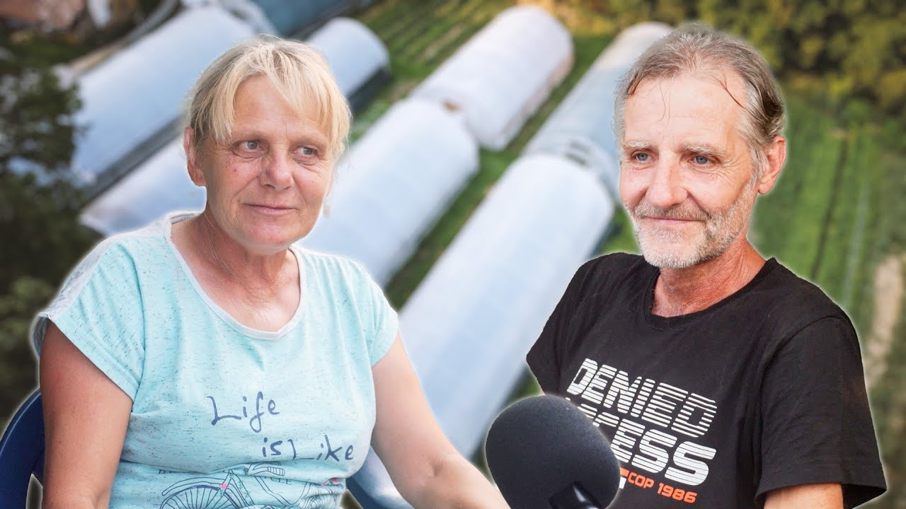 Od malenog drvenog plastenika STEKLI SMO SVE!