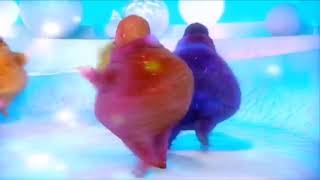 Sonata E Major Scarlatti Boohbah Version