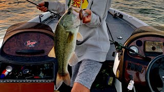 #fishing cedar bluff  reservoir #bass #bigfish crazy check out the vid!!!!!!!! #crazy