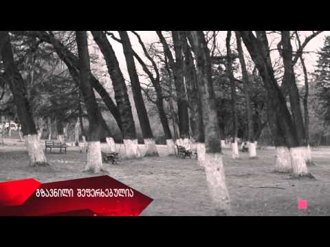 1 წუთი მაესტროზე - მაესტრო 2016