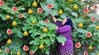 Harvesting Fresh Figs and Making Jam and Cake in the Village!