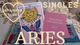 ARIES SINGLES ♈🥳💖AN UNEXPECTED ROMANCE 🏰🪄THEY DREAMED OF SOMEONE JUST LIKE YOU🪄ARIES TAROT READING💝