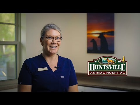 Huntsville Animal Hospital Recruitment Video.