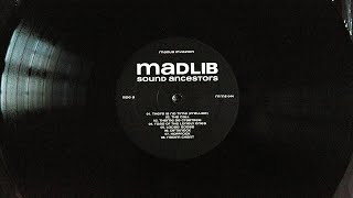 Madlib - The Call (vinyl)