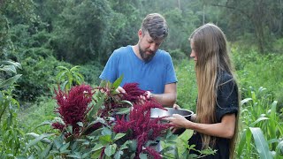 Harvesting Amaranth Seeds - Simple Seed Saving from a Wonderful Crop