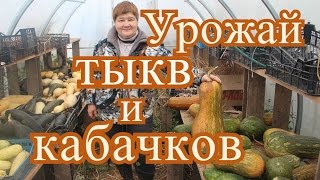 ⁣Тыквы и кабачки. Урожай 2016 года.