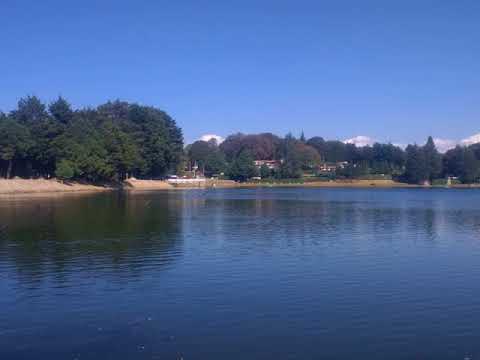 Glossary of algebraic