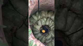 Underground Food Storage #Short #shorts #AzxmoFarmingtech