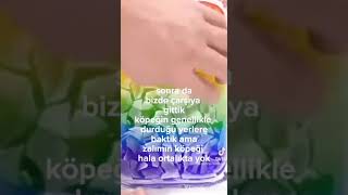 Anımı Anlatıyom Pt1 -Neva