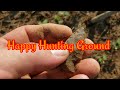 Arrowhead Hunting Kentucky💥....The Happy Hunting Ground