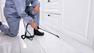 Tri-State Pest Control: Top Exterminator NYC for Bed Bugs, Rodents & More