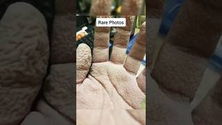 Rare Unseen Photos horror creepy shorts foryou