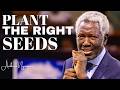 Plant The Right Seeds Ambrose Nyangao