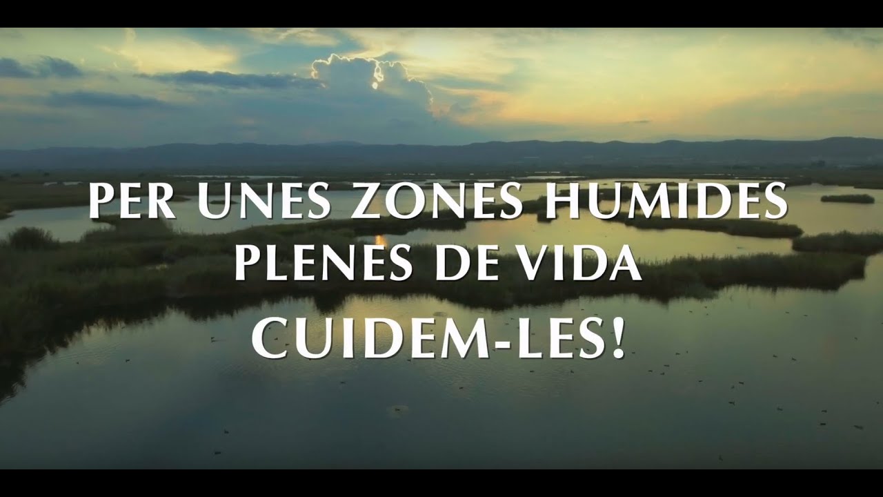Els aiguamolls, el nostre patrimoni natural YouTube