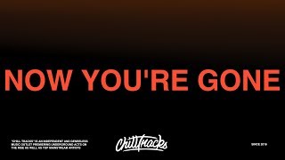 Tom Walker – Now You’re Gone (Lyrics) ft. Zara Larsson